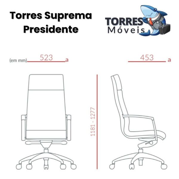 Medidas Torres Suprema presidente