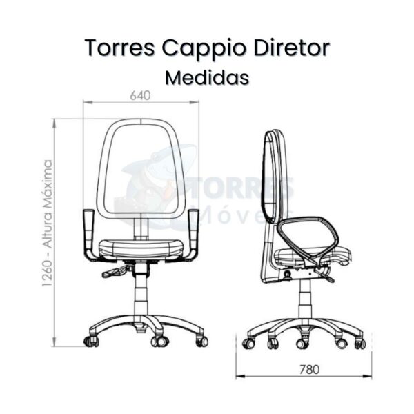 Torres Cappio diretor 1